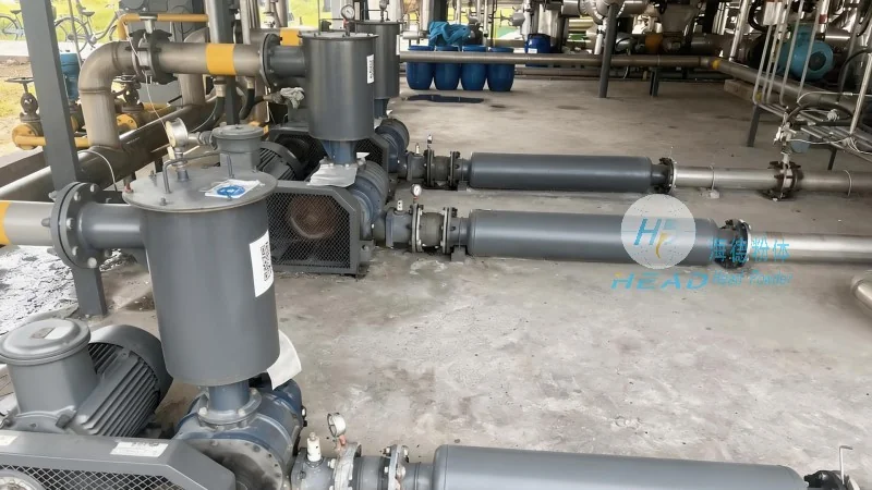 Sodium Bicarbonate DeSOx Powder Pneumatic Conveying Solution